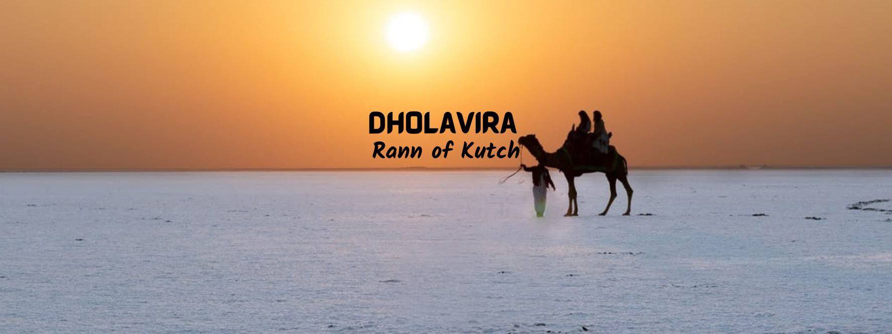 Rann Utsav Kutch Gir Dwarka Somnath Tour