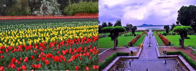 Srinagar pahalagm